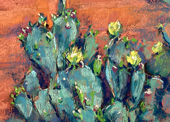 ABQ Shrubbery by Elizabeth G Neer