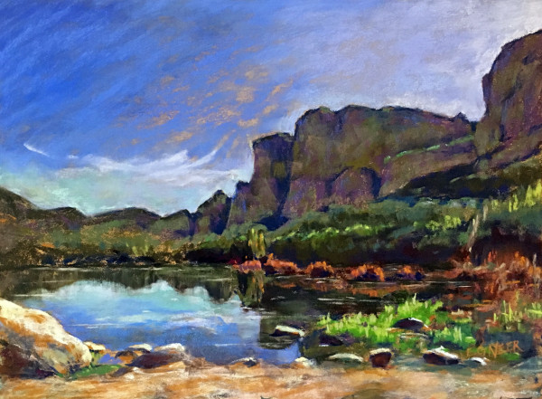 Arizona Spring on the Salt River by Elizabeth G Neer