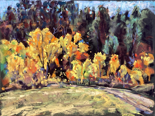 Blaze of Glory - Blanco Basin by Elizabeth G Neer