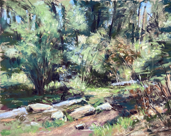 Bright Woodsy Morning by Elizabeth G Neer