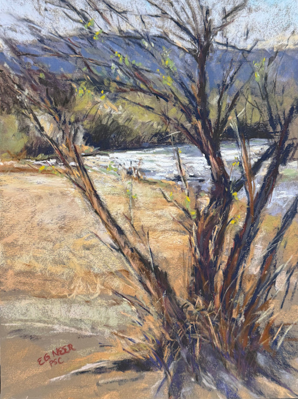 New Life Among the Willows, Rio Chama by Elizabeth G Neer, Image 1.