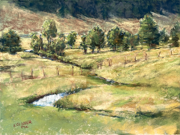 Meanderly by Elizabeth G Neer