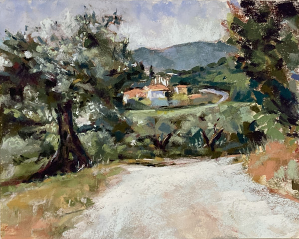Trasimeno Olive Groves by Elizabeth G Neer