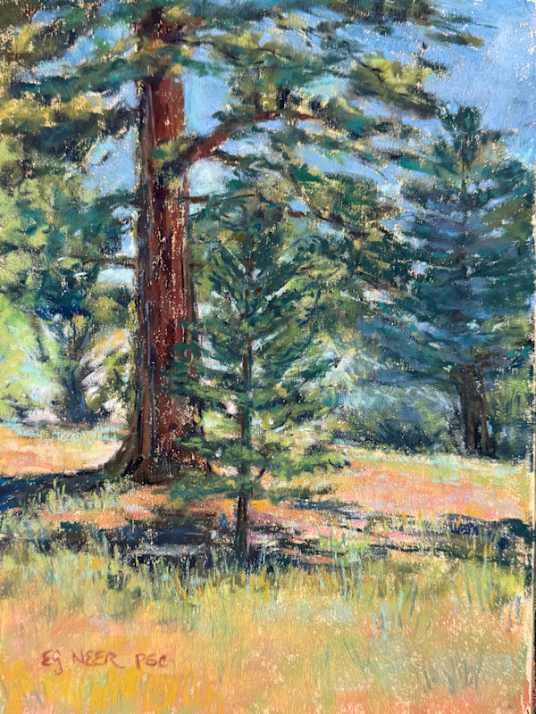 Ponderosa Progeny by Elizabeth G Neer, Image 1.