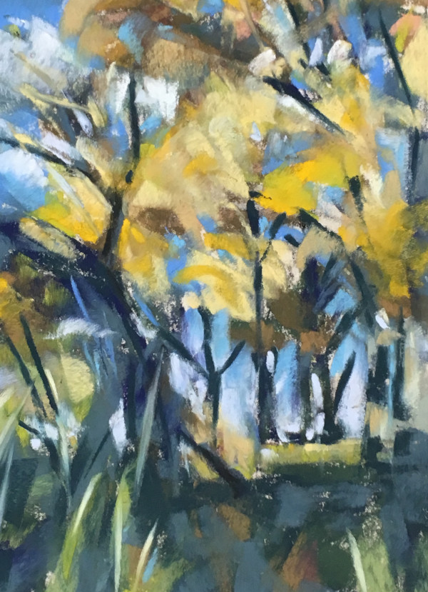 Wind in the Cottonwoods by Elizabeth G Neer