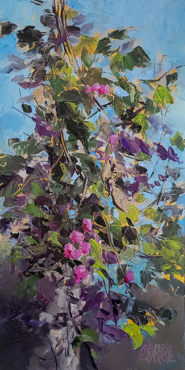 Hyacinth Bean Seeds by Melissa Carroll