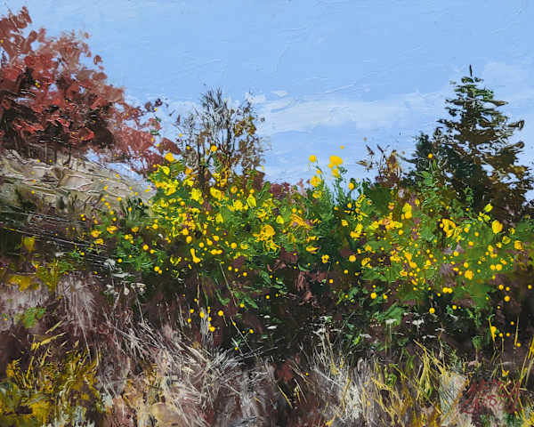 Last of Summer by Melissa Carroll