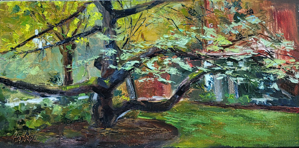Atlas Cedar by Melissa Carroll