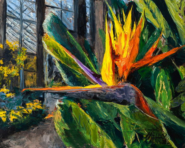 Conservatory's Bird of Paradise by Melissa Carroll