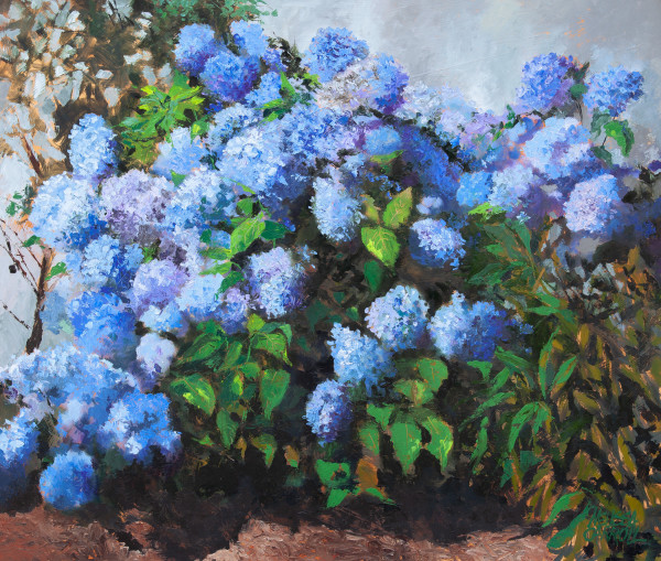 For the Love of Hydrangeas by Melissa Carroll