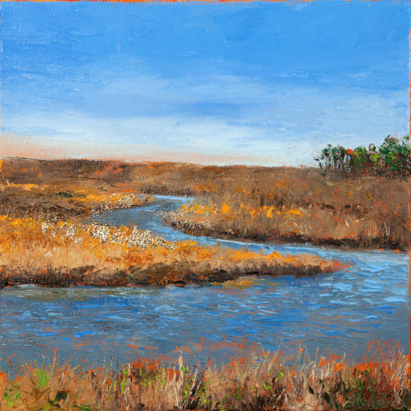Jane's Island at Daugherty Creek by Melissa Carroll