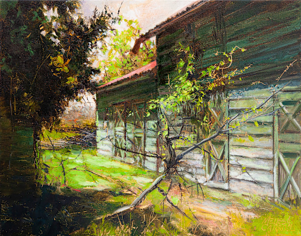 Green Barns by Melissa Carroll