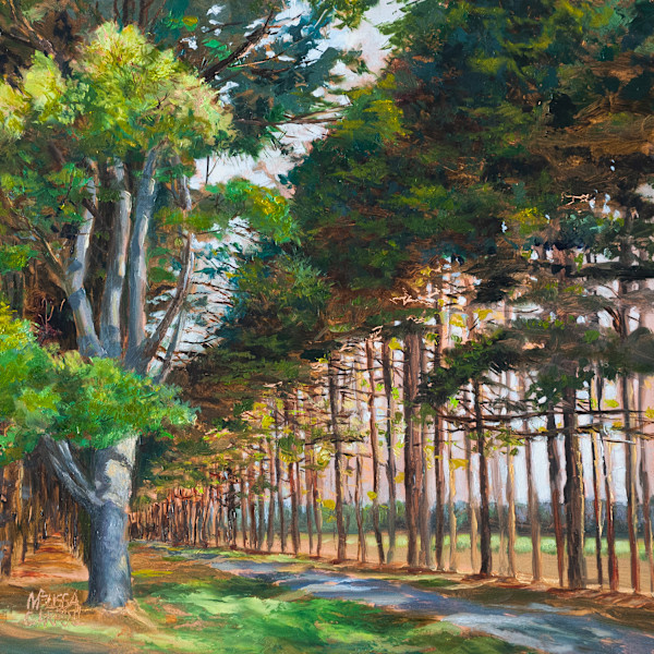 Along the Straight and Narrow by Melissa Carroll