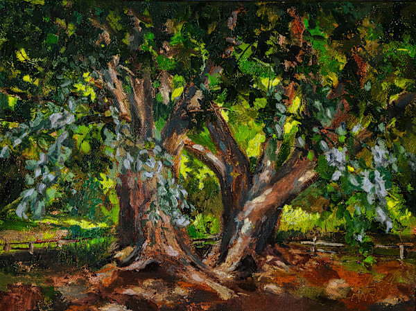 Katsura Light Dance by Melissa Carroll, Image 1.