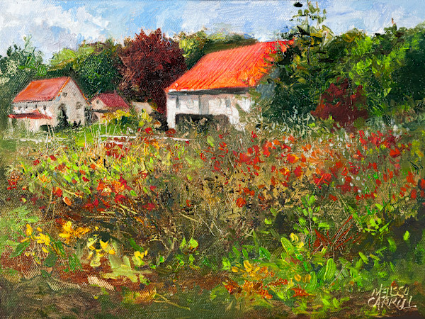 Poppy Field by Melissa Carroll, Image 1.