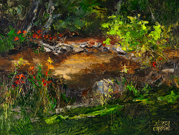 Ironstone Creek by Melissa Carroll, Image 1.