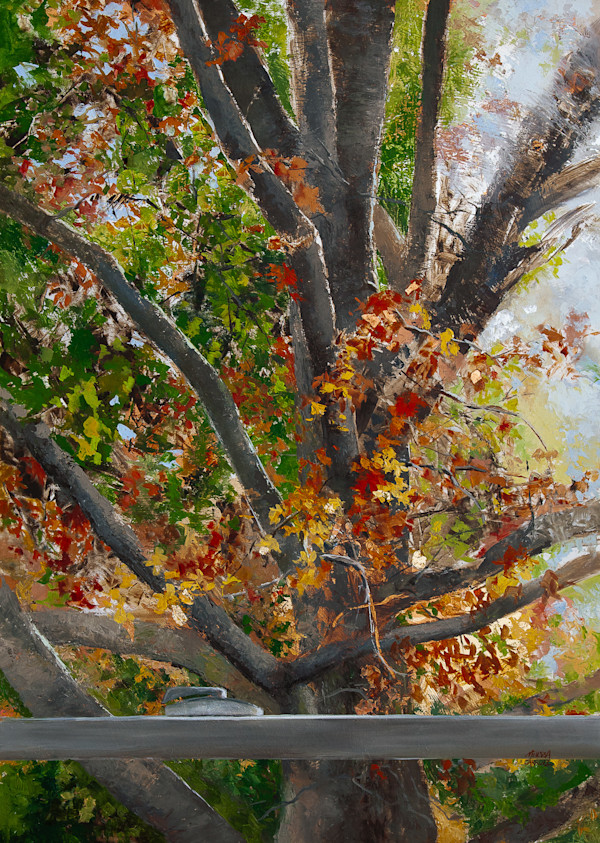 Window View by Melissa Carroll, Image 5.