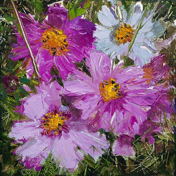 Cosmos Flowers by Melissa Carroll, Image 1.