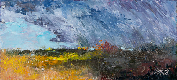 Storm's Edge by Melissa Carroll