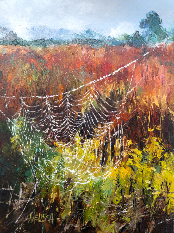 Web by Melissa Carroll