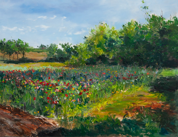 Lily's Field at Rodale by Melissa Carroll