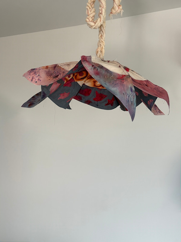 Isabella by Kelsey Overstreet, Image 1.