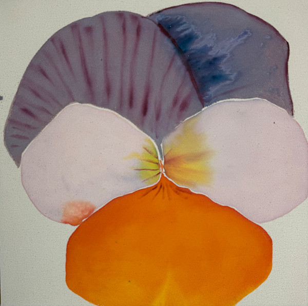 Meditation on pansies I by Kelsey Overstreet, Image 1.