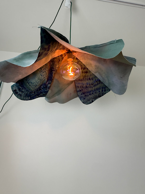 Amelie by Kelsey Overstreet, Image 1.
