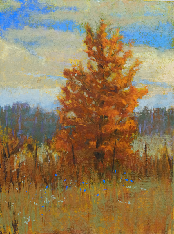 Fall Color  Autumn light by carol strock wasson
