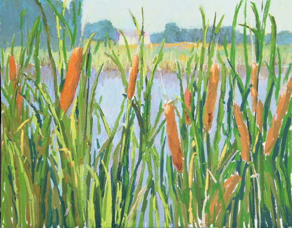 Cat Tails at McVey Memorial Forest by carol strock wasson