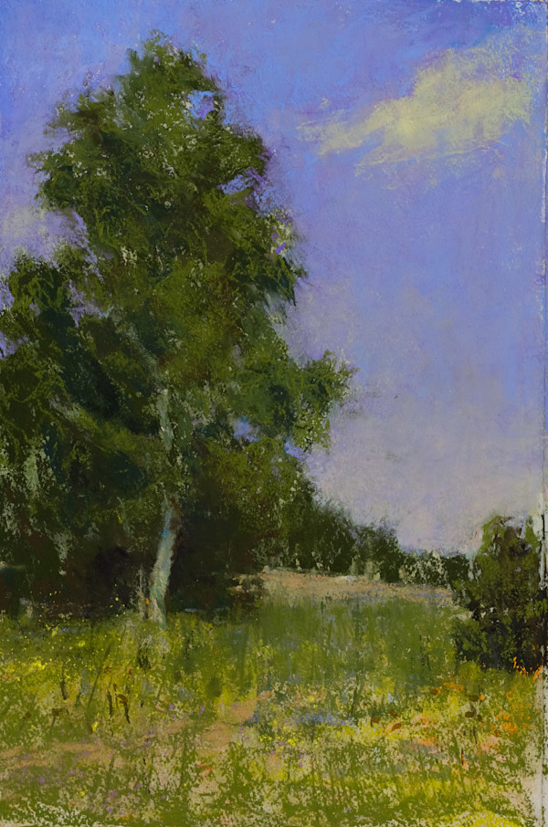 Summer Landscape by carol strock wasson