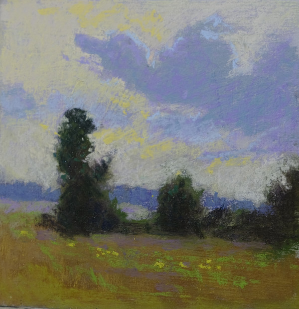 Fair Skies by carol strock wasson