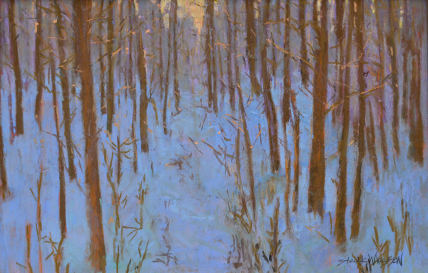 Winter Light Through the trees by carol strock wasson