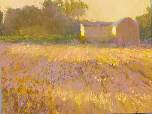 Golden Light by carol strock wasson