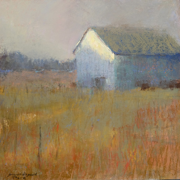 Discovering the Light by carol strock wasson