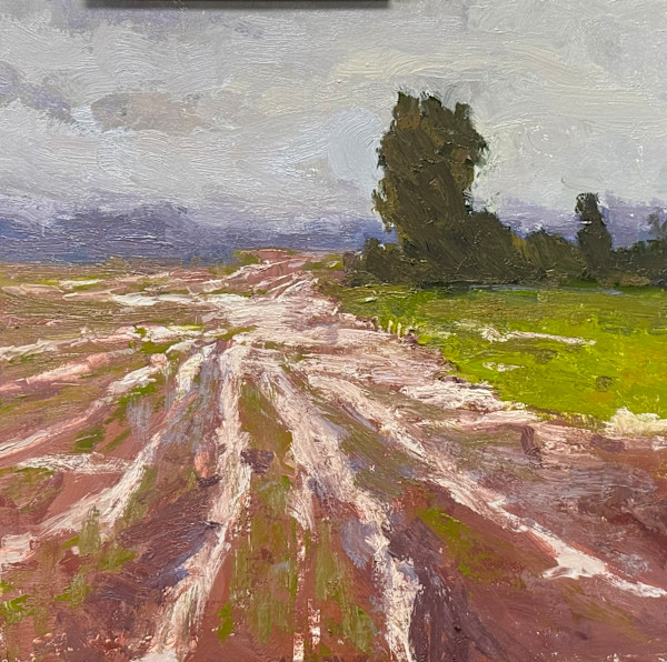 Rain in the Furrows by carol strock wasson