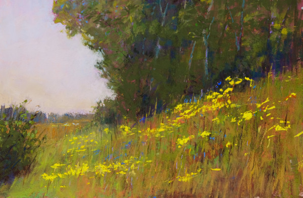 Wildflowers of Summer by carol strock wasson