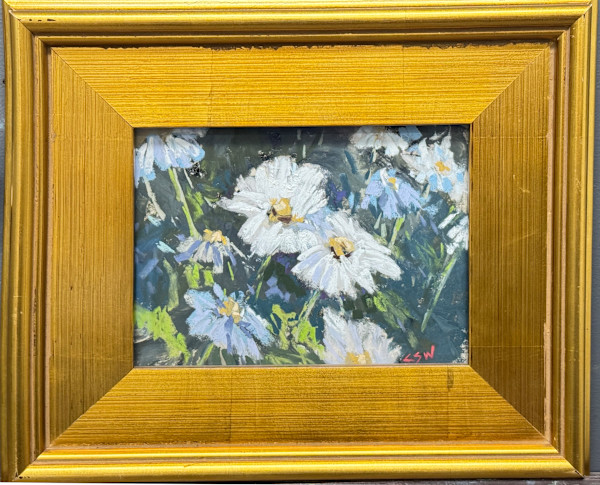 Daisy Study by carol strock wasson