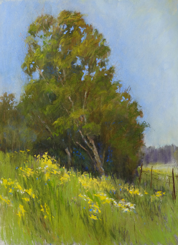 On the Hill by carol strock wasson