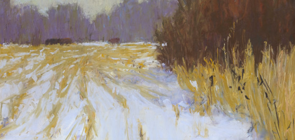 Snowy Field by carol strock wasson