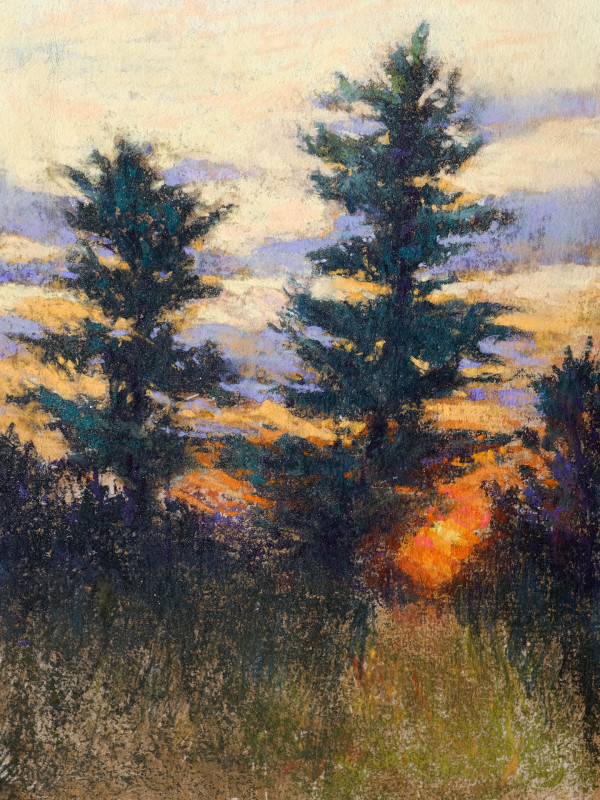 Sunset Behind the Pines by carol strock wasson