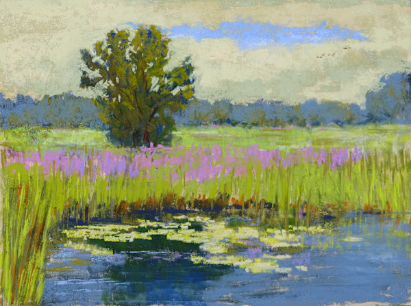 Wetlands with purple flowers by carol strock wasson