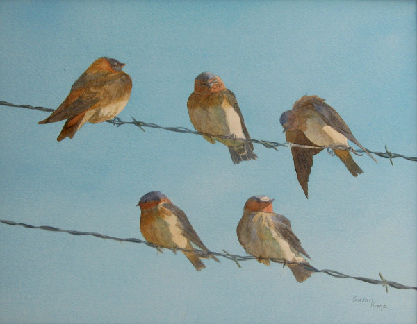 Birds on a Wire - Cliff Swallows by Susan Kane