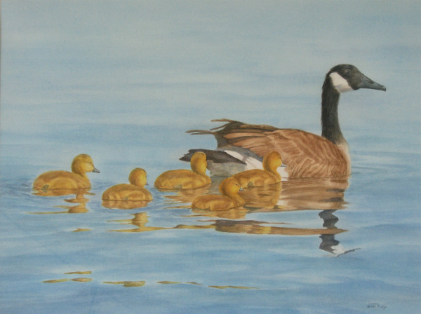 Canada Geese Mother and Chicks by Susan Kane