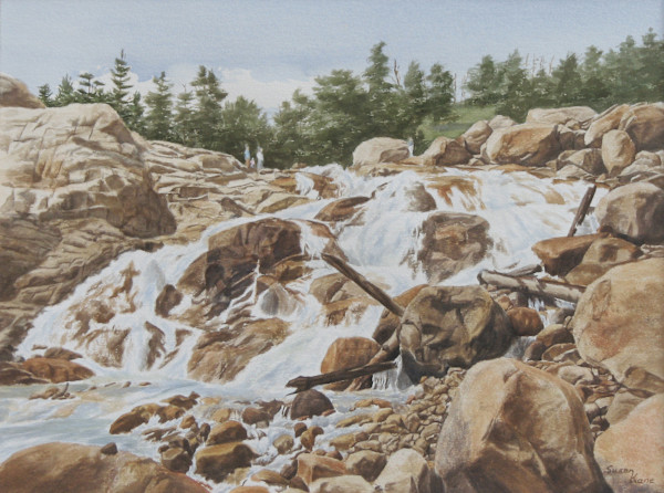 Horseshoe Falls by Susan Kane