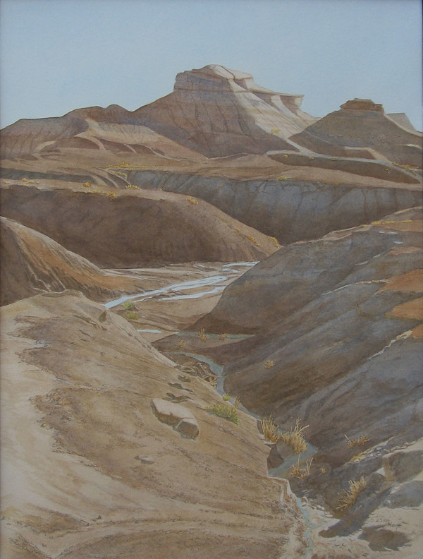 Looking South by Susan Kane