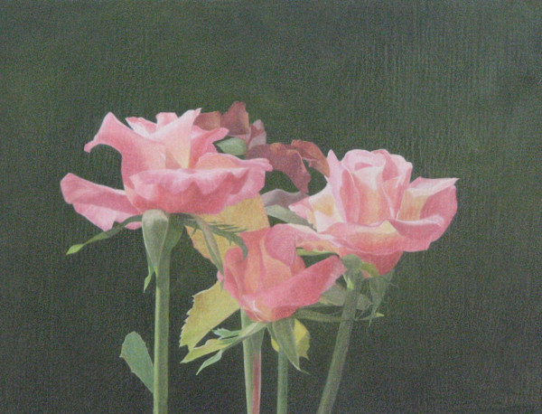 Pink Roses by Susan Kane, Image 1.