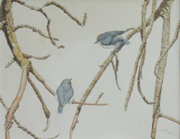Pygmy Nuthatches by Susan Kane