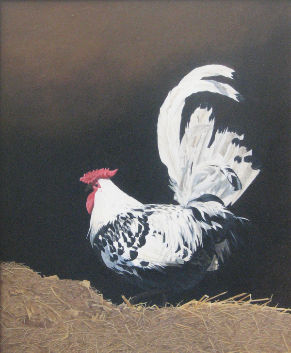 Rooster 2 by Susan Kane