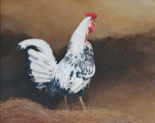 Rooster by Susan Kane
